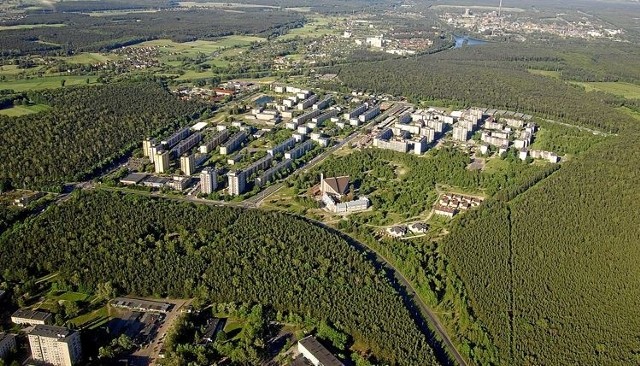 Las wokół osiedla Piastów. Wygląda przepięknie, ale spora jego część zostanie wycięta.