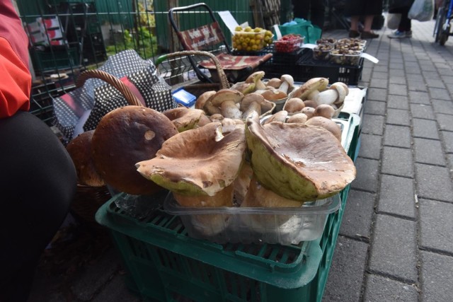 Zobaczcie ceny grzybów w województwie kujawsko-pomorskim. Szczegóły na kolejnych zdjęciach >>>>>