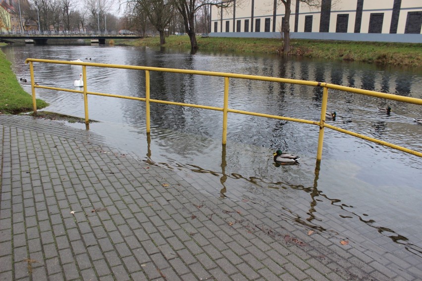 - Już dawno tak wysokiego stanu w Obrze nie było. Jak tak...