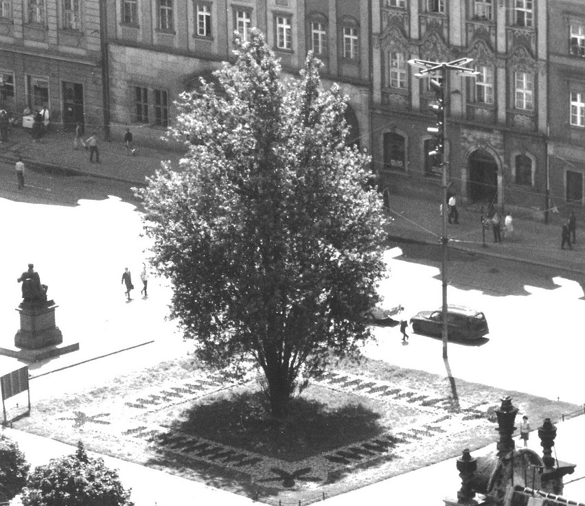 Tak wyglądał salon Wrocławia, czyli miejski rynek w latach...