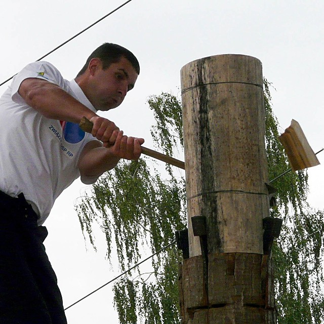 Mistrz Polski 2009 w Timbersports Series, 31-letni Arkadiusz Drozdek z Zielonej Góry w akcji. Pierwsza konkurencja, zwana springboard, czyli skacząca deska.