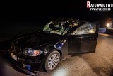 Wypadek na DK 65. BMW zderzyło się z łosiem (zdjęcia)