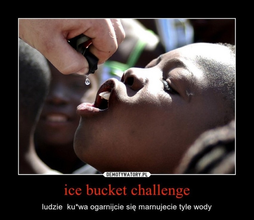 ALS Ice Bucket Challenge w ogniu krytyki Internautów -...