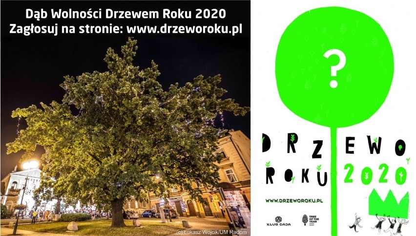 Fundacja ekologiczna Gaja już po raz 10 ogłosiła konkurs "Drzewo Roku". Resursa głosuje na Dąb Wolności. Głosuj i ty!