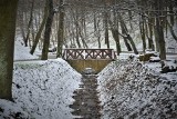 Śląskie w śniegu! Zima, a raczej wiosna, zaskoczyła kierowców. To najzimniejszy dzień wiosny 