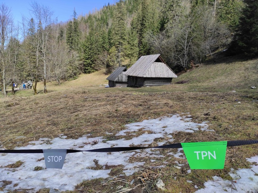 Polana Strążyska w Tatrach