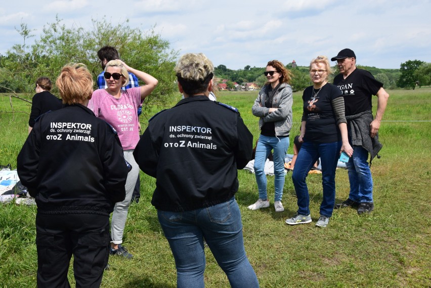 - Jeżeli krowy okażą się zdrowe, będziemy szukali rolników,...