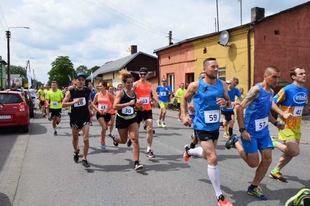 Po raz drugi wystartowali do biegu o puchar Prezesa Banku Spółdzielczego w Piotrkowie Kujawskim - prawie 80 biegaczy pokonało dystans 10 km z Piotrkowa do Połajewa.