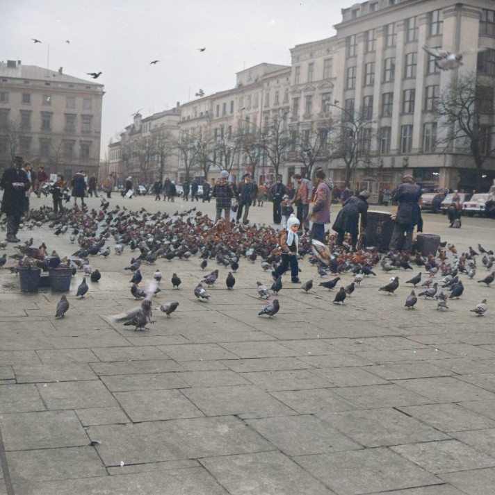 Karmienie gołębi na Rynku Głównym. W oddali zabytkowe...