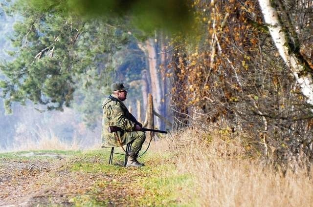 Myśliwi w okręgu bydgoskim zachęcają młodzież do poznawania przyrody i różnych gatunków zwierząt - jak mówią - w ten sposób chcą pokazywać prawdziwe oblicze łowiectwa