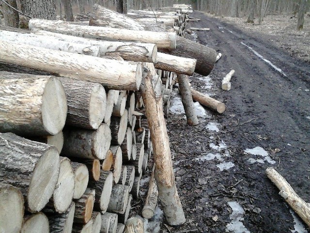 Brak roślin zielnych i owoców a także utrudniony dostęp do świeżych, soczystych gałązek sprawia, że muszą poszukiwać jedzenia gdzie indziej. Często dochodzi wówczas do takich niekorzystnych z punktu widzenia gospodarki leśnej zjawisk, jak spałowanie czy zgryzanie.