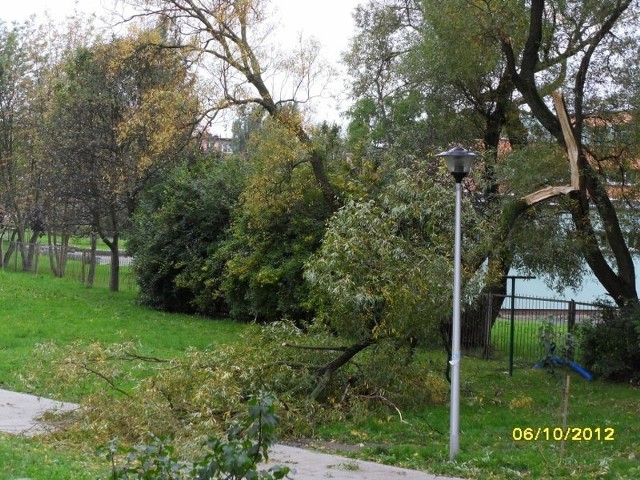 Koszalin, Park ABC, Płot przy Gimnazjum nr 7.