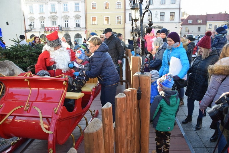  Święty Mikołaj i renifery robią furorę na Rynku w Tarnowie. Dzieci są zachwycone