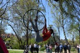 Kreatywni w Kielcach dali w niedzielę wspaniały popis w Parku Miejskim w Kielcach! Był taniec w powietrzu i inne cuda [ZDJĘCIA]