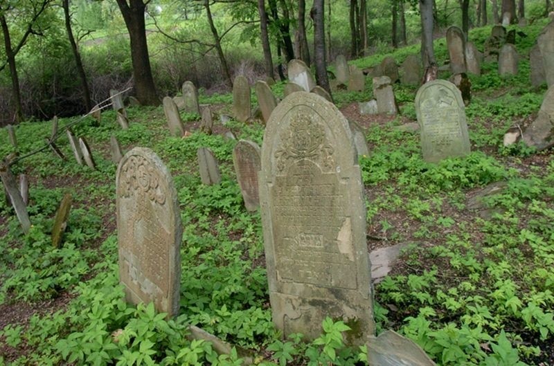 Cmentarz zydowski w Nowym Zmigrodzie...