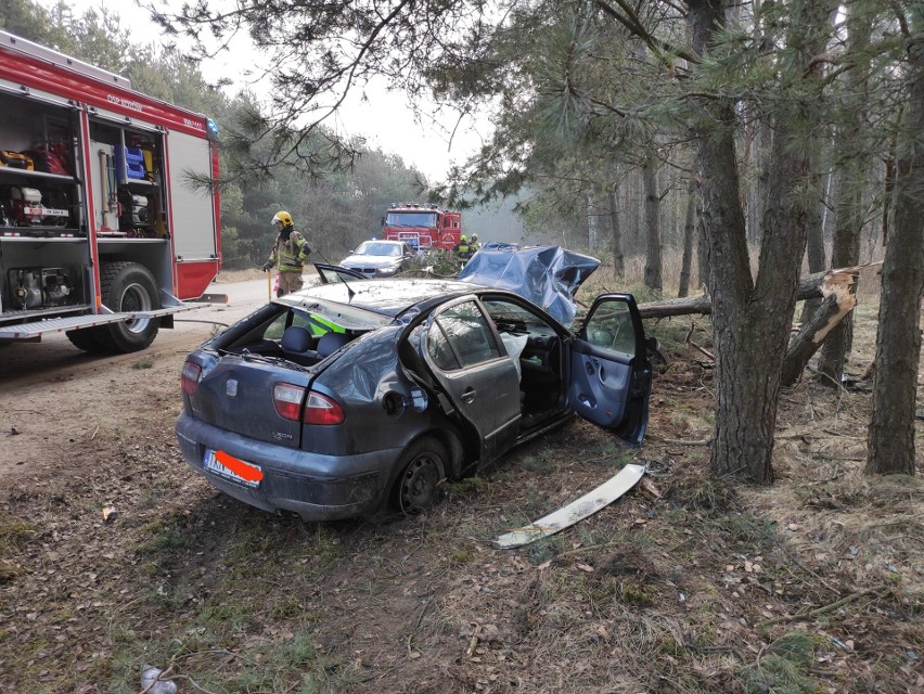 Wypadek w gminie Radoszyce. Seat wypadł z drogi i złamał drzewo. Kobieta trafiła do szpitala. Zobacz zdjęcia 