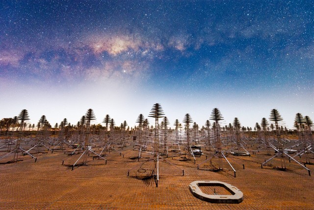 Wizualizacja Square Kilometre Array