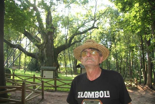Władysław Bartłomiej Kowalewski, radny gminy Zagnańsk, zaprasza wszystkich Bartków na imieniny najstarszego drzewa w Polsce. Podczas nich odbędzie się zlot Bartłomiejów.