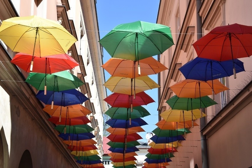 Nad ulicą Piekarską zawisło ok. 50 kolorowych parasolek