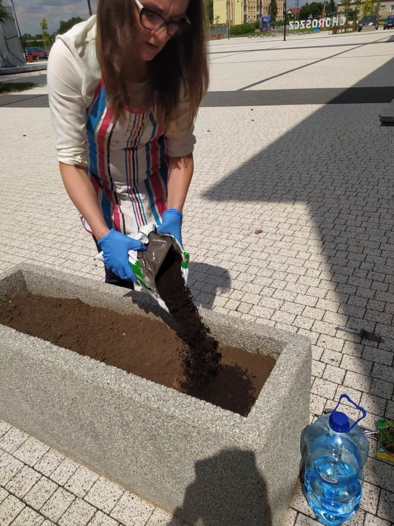 Miejska Partyzantka Ogrodnicza w Choroszczy (zdjęcia) 