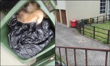 Wrocław. Martwy pies wrzucony do pojemnika na szkło - w okolicy jest potworny smród - mówi czytelnik