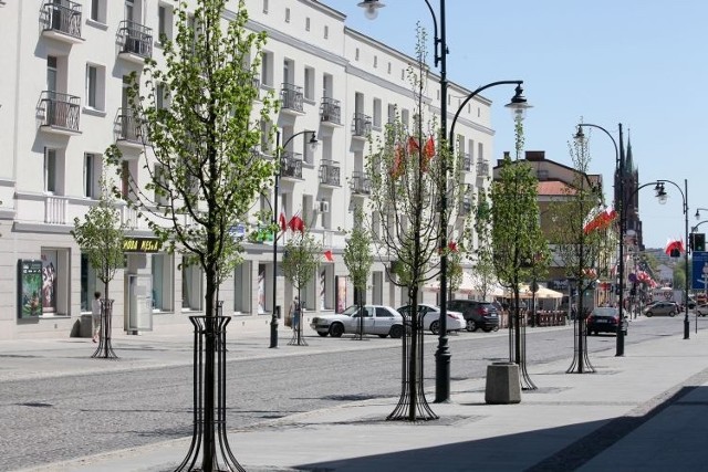 Od nowego sezonu zimowego będzie całkowity zakaz sypania solą ulicy Lipowej