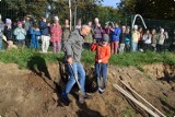 W Myślachowicach posadzono nowe drzewa. W gminie Trzebinia hołdują zasadzie „drzewo za drzewo”