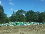 Hałda śmieci po Pol'and'Rock Festiwalu przy lesie w Kostrzynie. Dlaczego odpadki się tu znalazły?