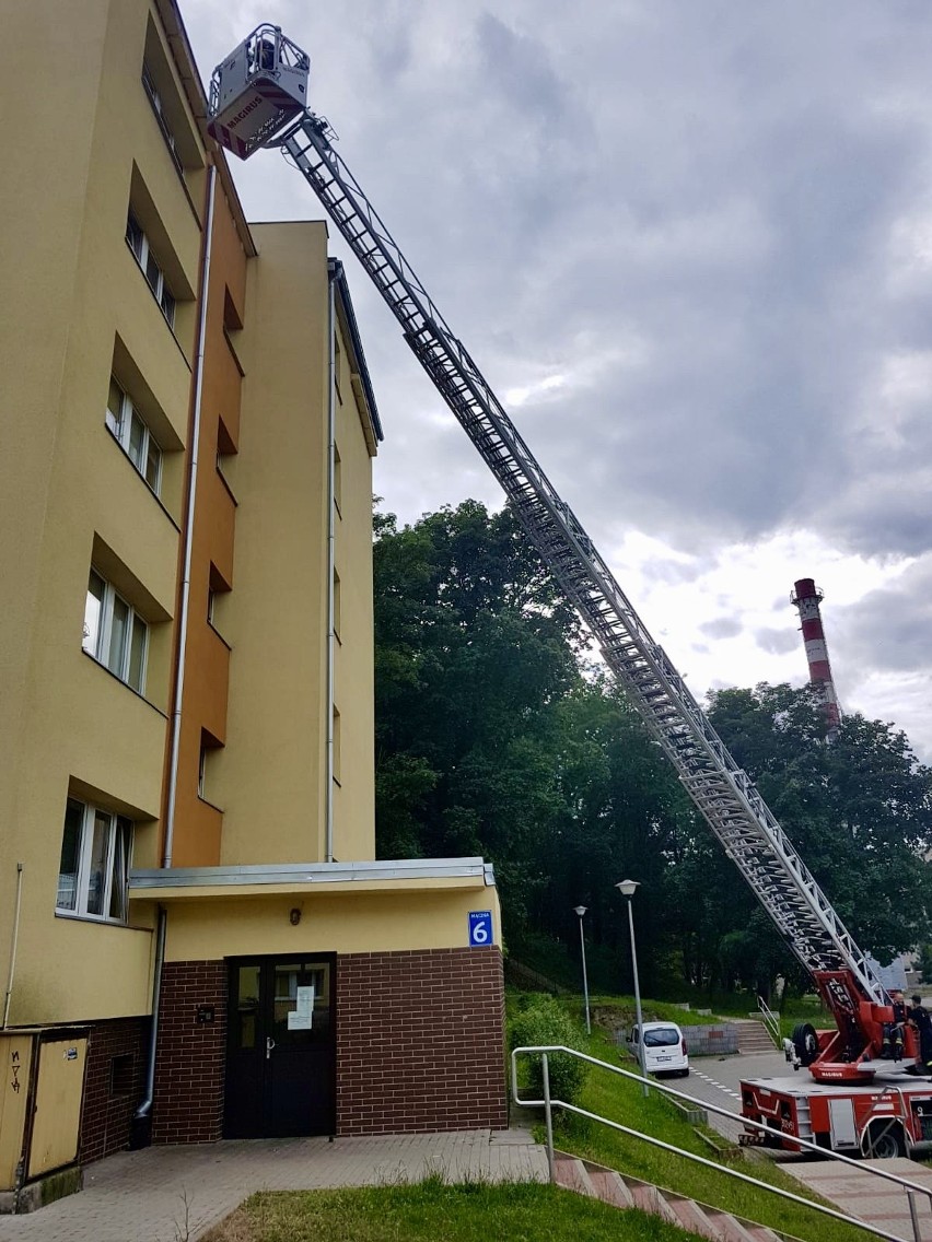 Jaja jerzyków uratowane. Niecodzienna akcja w szpitalu w Zdrojach