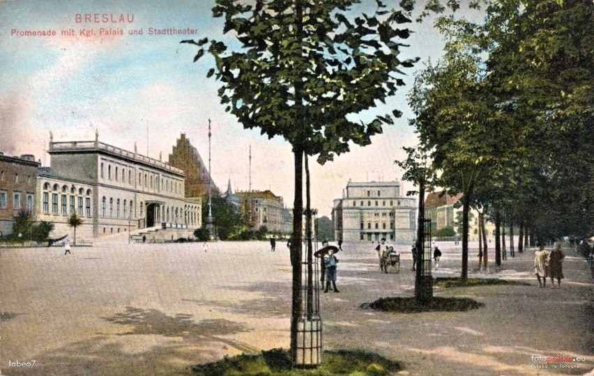 Plac Wolności