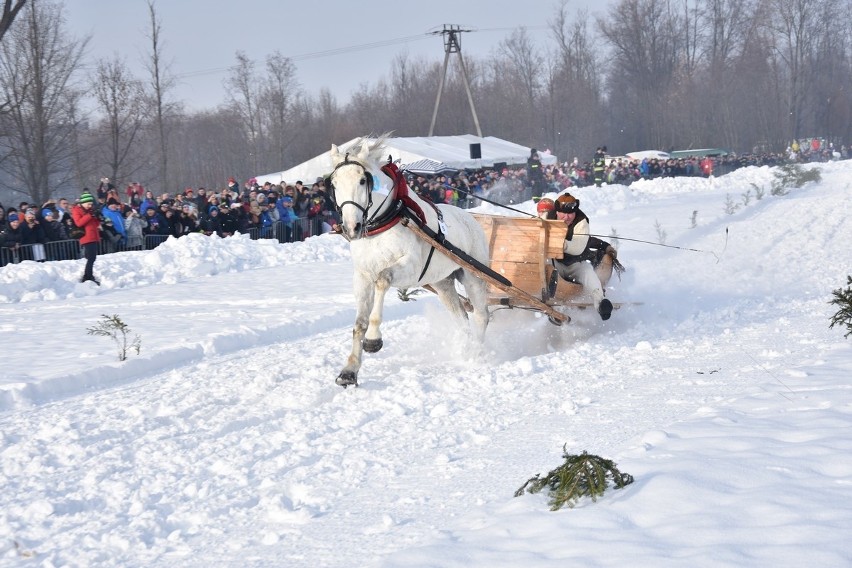 Parada Gazdowska 2019 - Biały Dunajec