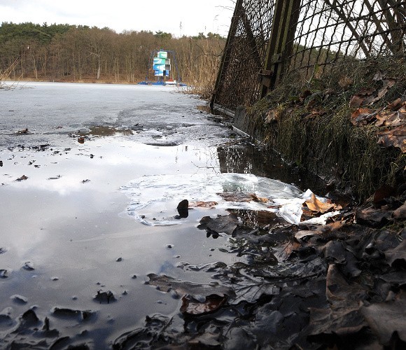 Do jeziora Głębokiego cały czas spływają ścieki z okolicznych domków.