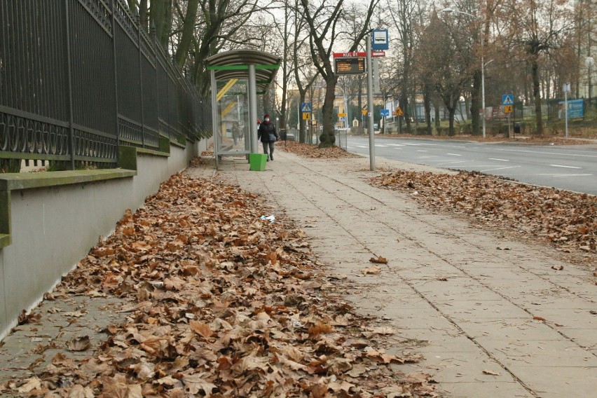 Czytelnik skarży się na niesprzątnięte liście w centrum Lublina. „To nie wygląda dobrze”