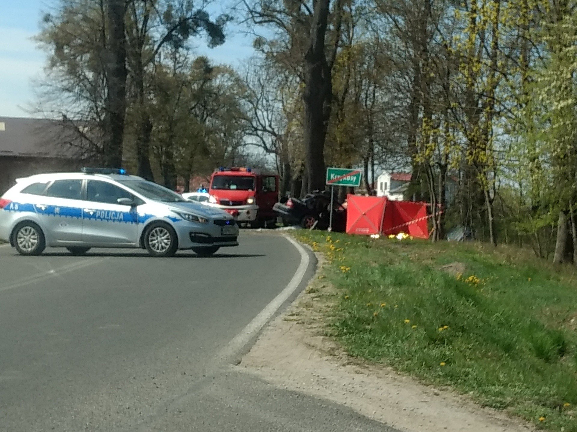 Śmiertelny wypadek w Krzykosach. Samochód uderzył w drzewo