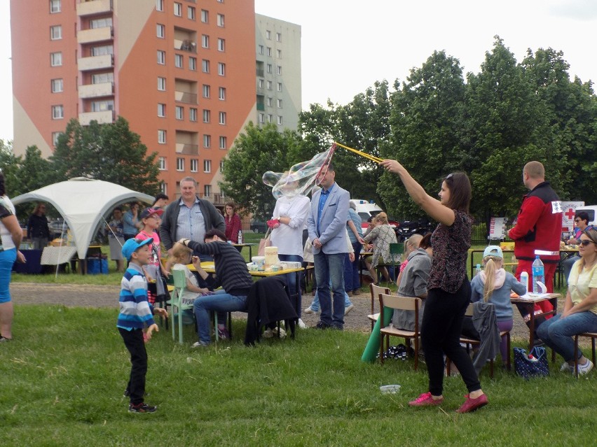 Piknik „siódemki” z grupą przyjaciół w Ostrowcu 