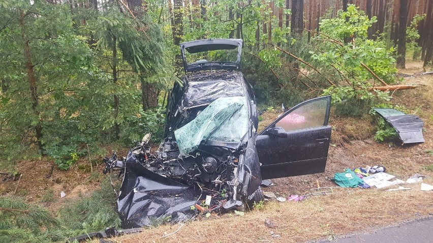 Wypadek na ulicy Bojanowskiej w Stalowej Woli. Seat uderzył w drzewa, kierująca nim kobieta została zakleszczona w aucie [ZDJĘCIA]