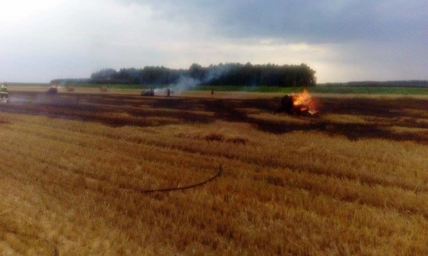 Ciągnik stanął w płomieniach na polu