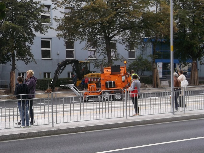 Wrocław: Ulica Curie-Skłodowskiej pełna aut po remoncie. Będą korki? (ZDJĘCIA)