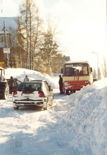 Śnieżne niespodzianki