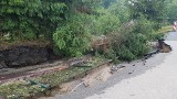 Burza w Wielkopolsce: Duże zniszczenia w gminie Kórnik [ZDJĘCIA]