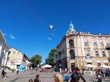 Międzynarodowy Festiwal Artystów Ulicznych i Precyzji w Radomiu już się zaczął. Czarowanie na deptaku i niezwykłe pokazy. Zobacz zdjęcia