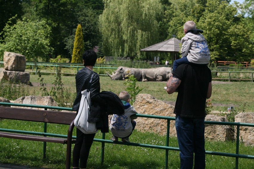 Więźniowie z Wojkowic w Zoo w Chorzowie