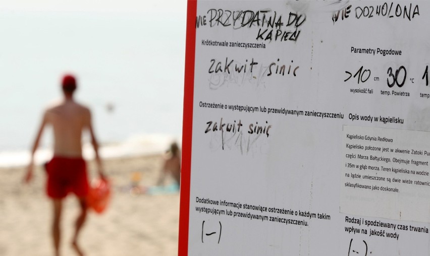 Sinice atakują. Zamknięte plaże w Trójmieście, zakaz kąpieli