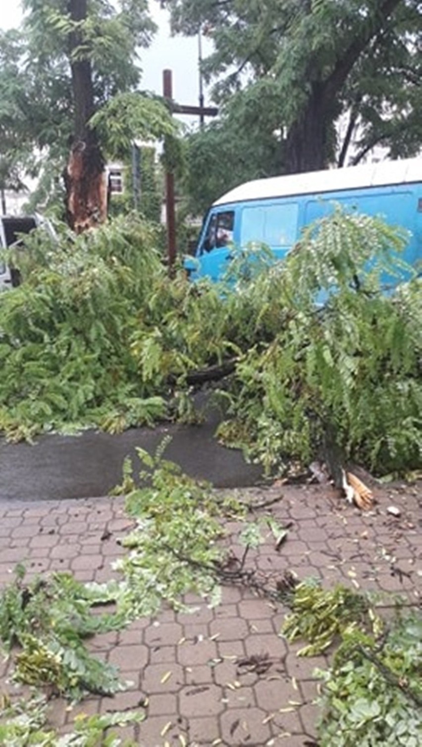 Nawałnica trwała kilkadziesiąt minut, a zniszczenia są...