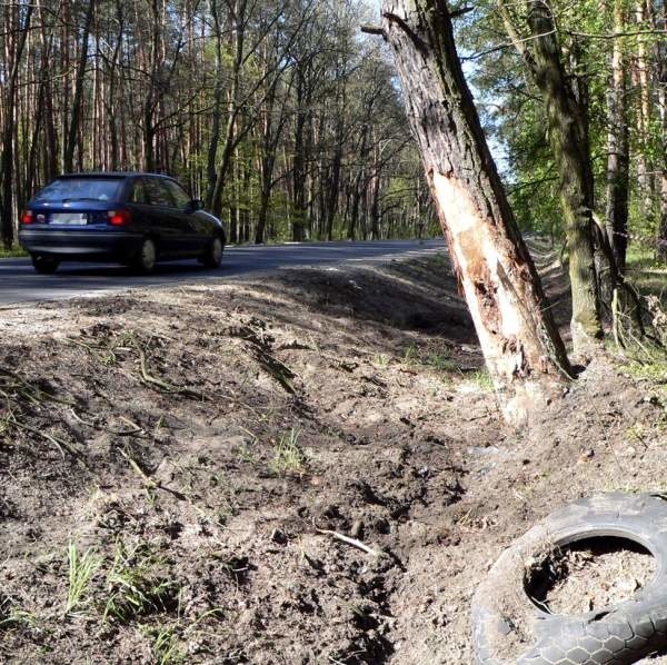 W tym miejscu w lesie rozegrał się dramat.