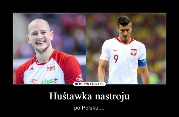 Polska - Brazylia 3:0: Polacy mistrzami świata! [MEMY,...