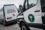 Inspektorzy Transportu Drogowego zatrzymali na A1 dwie ciężarówki w fatalnym stanie technicznym [zdjęcia]