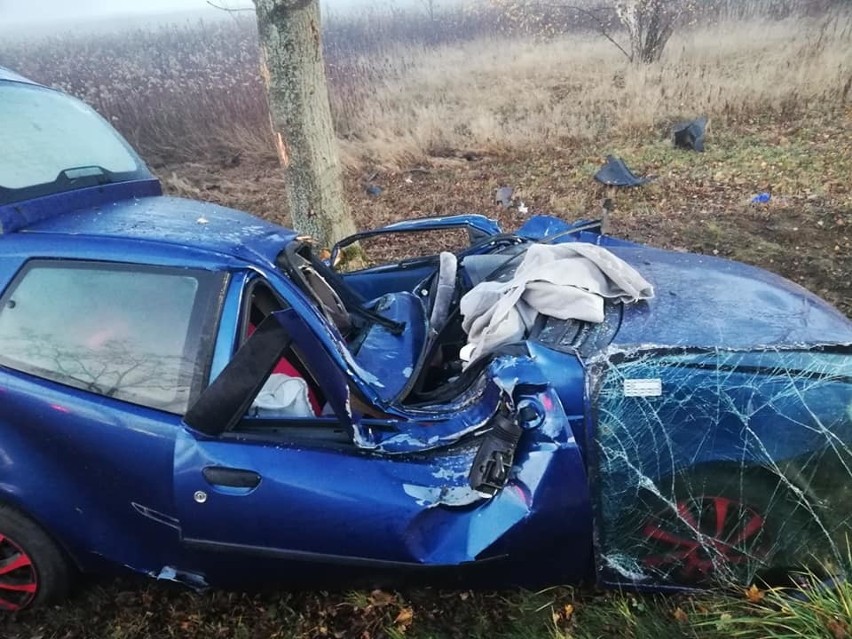 Groźny wypadek. Auto z impetem uderzyło w drzewo (ZDJĘCIA)