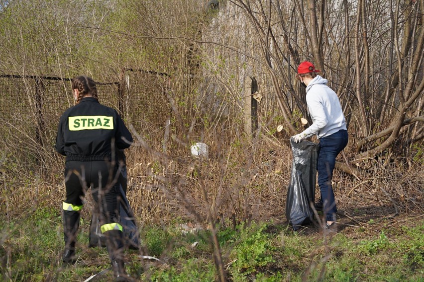 Sprzątnęli kawałek ziemi, posadzili kawałek lasu. Tak w Michałowie świętowano Dzień Ziemi (zdjęcia) 