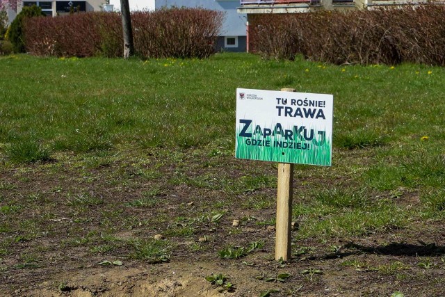 Na trawnikach i pasach zieleni w Gorzowie pojawiły się nietypowe tabliczki.